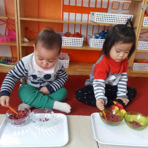 Phần 3: Các lĩnh vực cơ bản trong Montessori